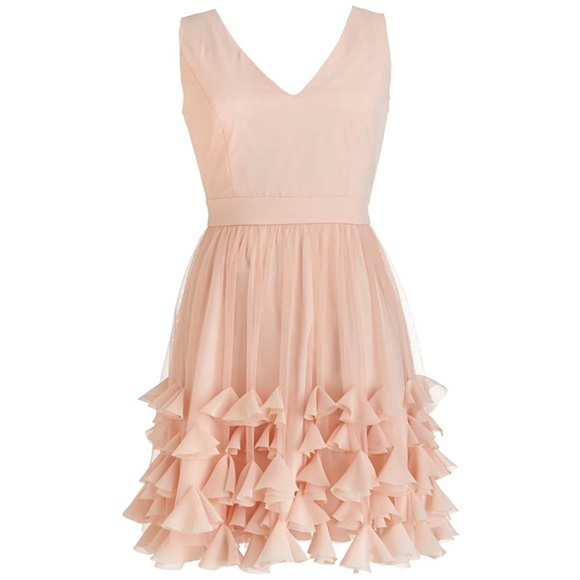 Rickety Rack | Dresses | Rickety Rack 47 Blush Pink Petal Appliqu Dress ...